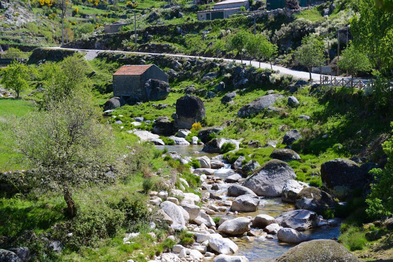 Casa Dos Alcaides Villa Sabugueiro  Eksteriør billede