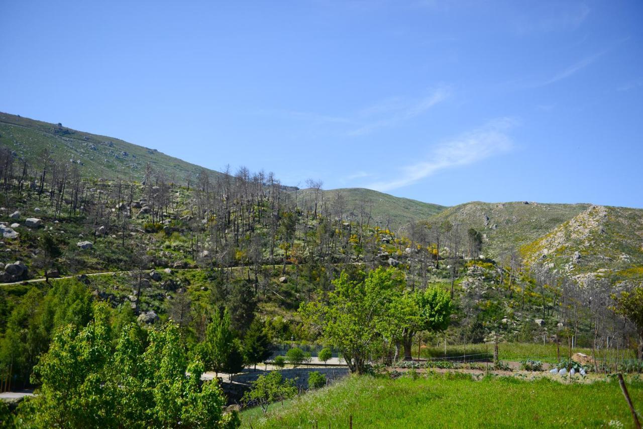 Casa Dos Alcaides Villa Sabugueiro  Eksteriør billede