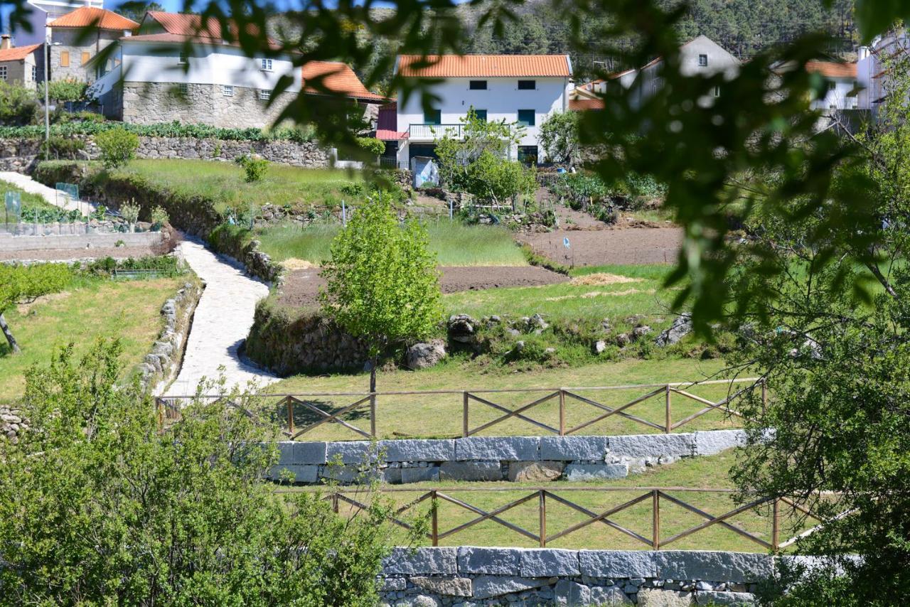 Casa Dos Alcaides Villa Sabugueiro  Eksteriør billede